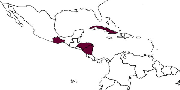map of Aleiodes vaughani     (Muesebeck, 1960)